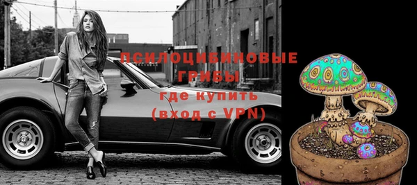 МДПВ Зерноград