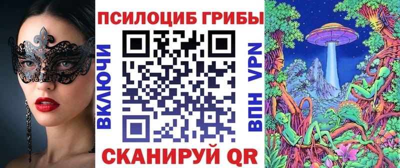 Купить закладки  Десногорск  Псилоцибиновые грибы Psilocybine cubensis 