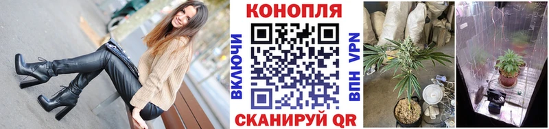 Купить где  Десногорск  Шишки марихуана семена 